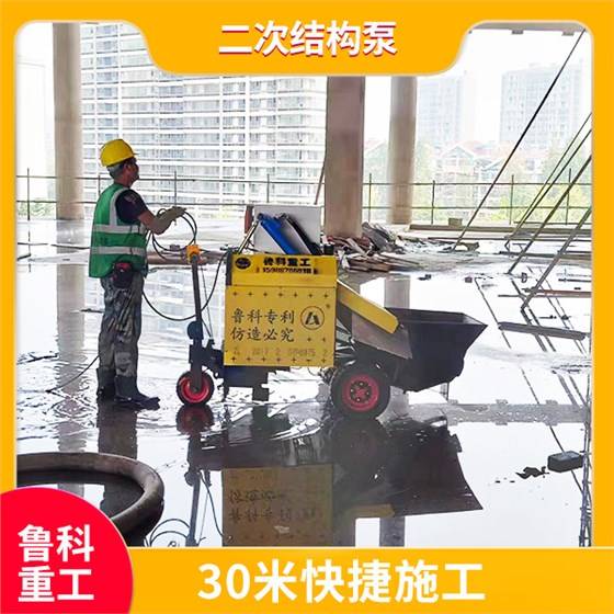 砼二次澆筑泵 砼二次澆筑泵