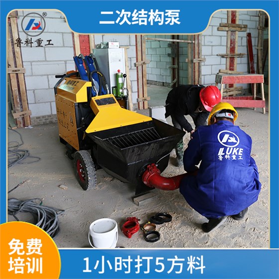 小型二次結(jié)構(gòu)打灰泵