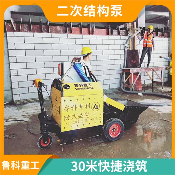 小型二次結(jié)構(gòu)柱澆筑泵 小型二次結(jié)構(gòu)柱澆筑泵